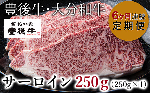 
Ｄ－１１３－６ 【6ヶ月連続定期便】 おおいた豊後牛 サーロイン ステーキ 250g(250g×1)
