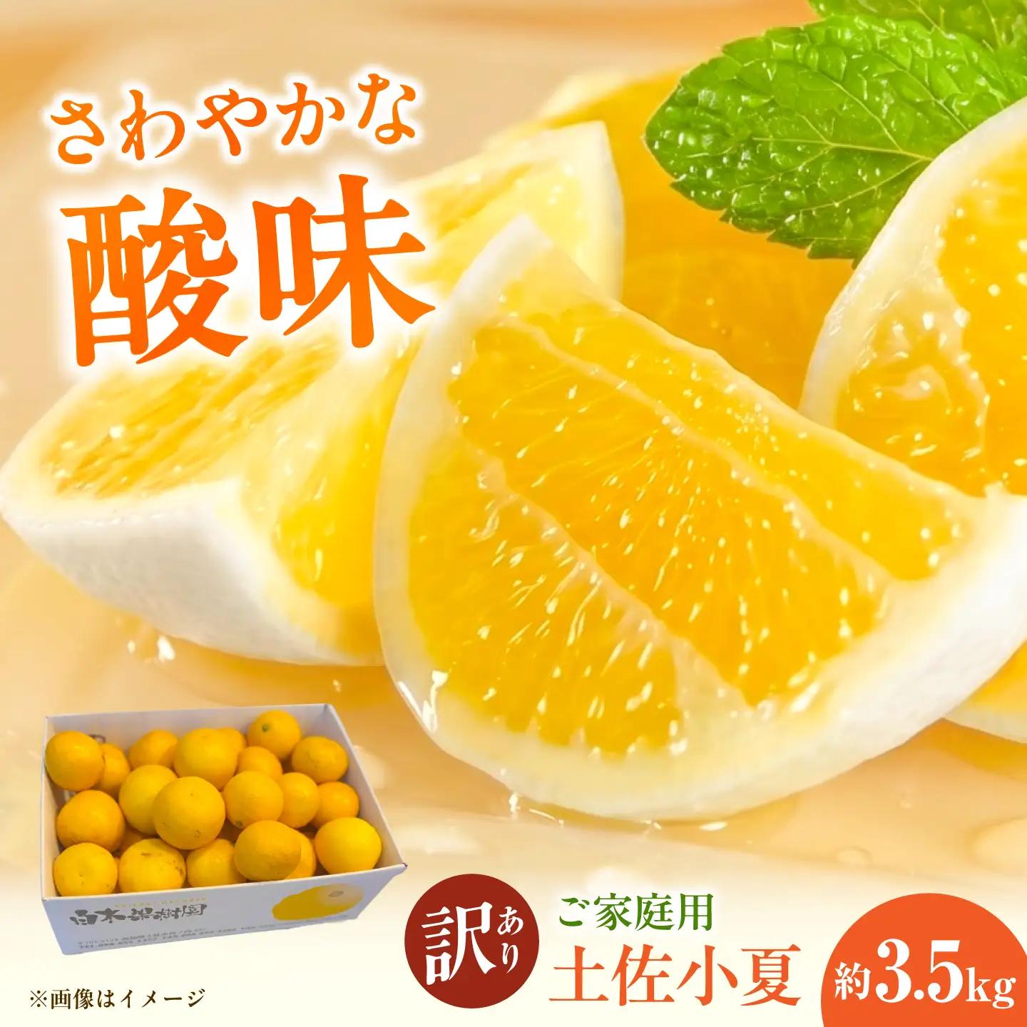 【先行予約】【訳あり】 土佐小夏 ご家庭用 約3.5kg〈2027年5月下旬-2027年6月下旬頃発送〉 高知県土佐市 【株式会社SHIRAKI】 [BQAI033]