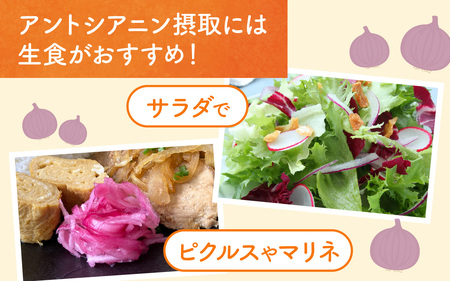 【先行予約】福井県産玉ねぎ　ケルたまルビー　5kg【2024年7月上旬より順次発送】[Y-086002]