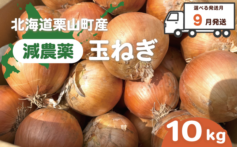 【9月発送】サラダにもOK！減農薬玉ねぎ10kg