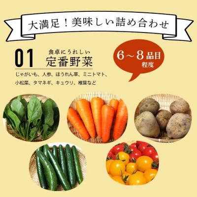 ふるさと納税 鹿島市 【毎月定期便】肥前の国の農産物大満足セット(野菜・卵・米・果物等)14品目程度詰め合わせ鹿島市全3回 |  | 01