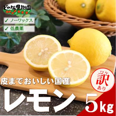 ふるさと納税 日高町 【ノーワックス】訳あり・ご家庭用 国産レモン 5kg (サイズおまかせ)【2027年2月以降発送】