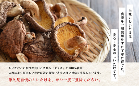 大分県産 しいたけ 津久見で育てたちびっこ乾燥しいたけ 20g×4袋