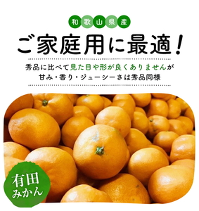 【10月発送】有田育ちのご家庭用完熟 有田みかん 5kg+200g(傷み補償分)  ※10月上旬～10月下旬頃より順次発送 ※北海道・沖縄・離島配送不可 / みかん ミカン 果物 フルーツ 柑橘【ar