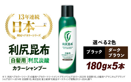 【5本入】［白髪用］利尻炭酸カラーシャンプー 糸島市 / 株式会社ピュール ヘアケア シャンプー[AZA046]