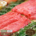 【ふるさと納税】【牧場直送】佐賀牛 至福の切落し 1kg（250g×4パック）【有限会社佐賀セントラル牧場】黒毛和牛 肉 お肉 牛肉 切り落とし 1kg 冷凍[IAH006]