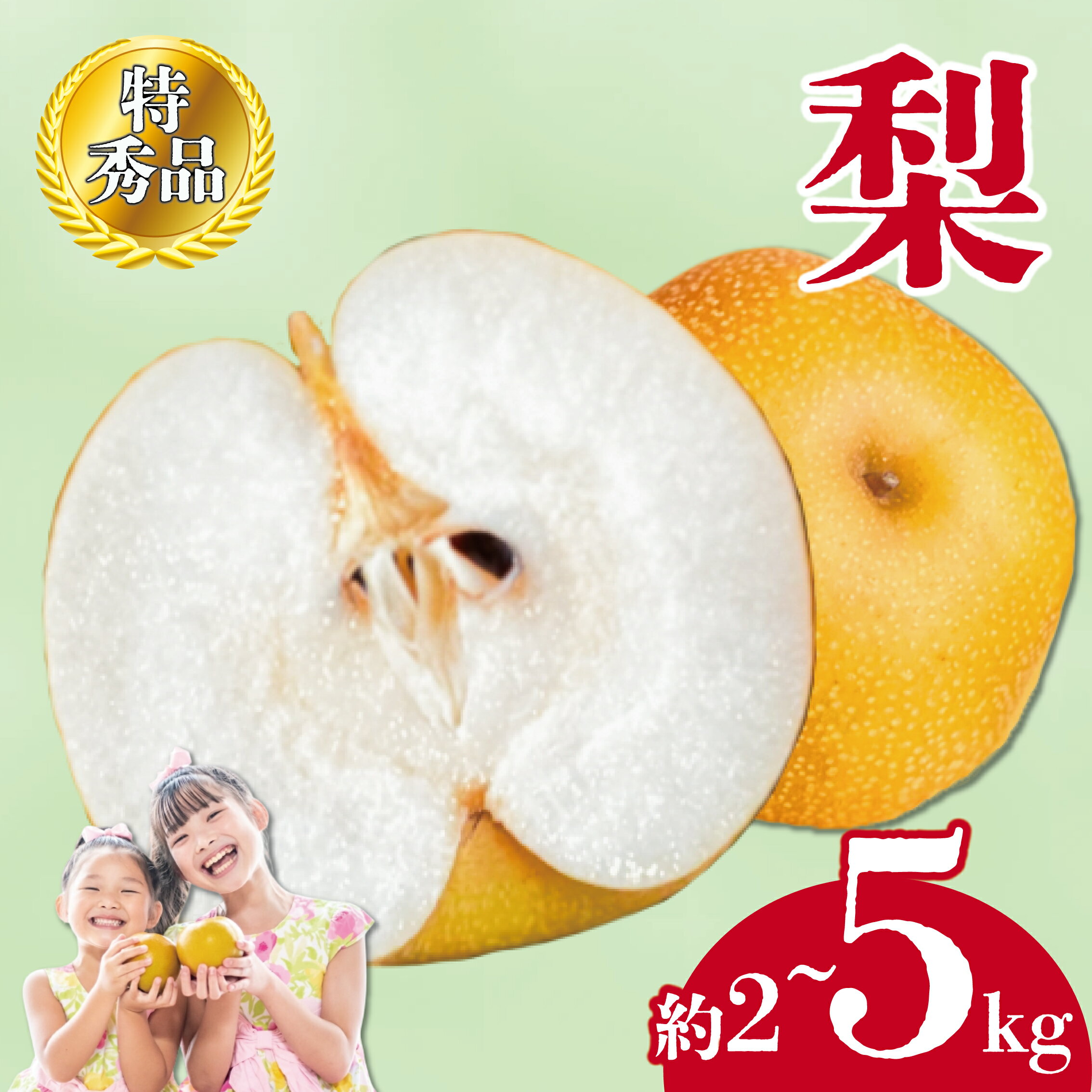 【ふるさと納税】 先行予約 特秀品 梨 約2kg 丸亀産 ナシ 果物 フルーツ 果実 スイーツ デザート ゼリー アイス シャーベット ジャム ジュース ジェラート 加工 ふるさと納税梨 ふるさと納税なし ギフト プレゼント 贈答 冷蔵 送料無料 ふるさと納税 ふるさと納税フルーツ