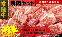 【ふるさと納税】【3か月定期便】【常陸牛】焼肉セット 約900g【定期便】計3回 総量約2,700g（茨城県共通返礼品）【 常陸牛 茨城県 日立市 】