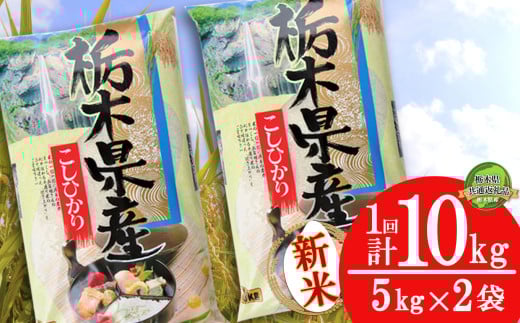 【栃木県共通返礼品】【先行予約】コシヒカリ10kg（5kg×2袋） | 米 こめ コメ kome 白米 精米 お米 こしひかり ｺｼﾋｶﾘ 新米 栃木米 令和7年度米 令和7年度 2025年度米 2025年度 ブランド米 栃木県 特産品 送料無料 栃木県 下野市 しもつけ市