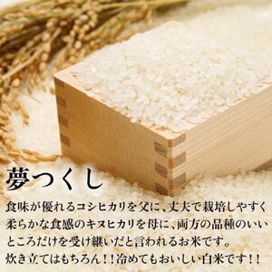 新米！！令和7年産 福岡県産米 夢つくし 合計10kg ( 5kg×2袋 )