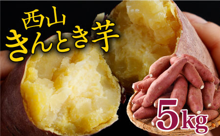 【秀品】西山きんとき芋5kg | さつまいも 新芋さつまいも ホクホクさつまいも 西山台地さつまいも 人気さつまいも