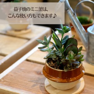 AA011 道の駅ましこオリジナル　とろたまブリュレ6個セット（益子焼ミニ釜セット）１万円 とろたま ブリュレ クレームブリュレ たまご 滋養卵 ぷりん プリン 6個 ミニ窯　スイーツ