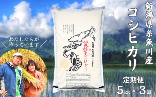 令和8年産新米【数量限定】新潟県産コシヒカリ『笑穂志(えぼし)のひかり』5kg×3回 毎月お届け 全15kg U'ファーム【米 お米 白米 こめ コメ こしひかり ご飯 ライス ふるさと納税米 新潟県 糸魚川産 2026年産 5キロ 食品 人気 おすすめ 3か月 3ヵ月 3ヶ月】