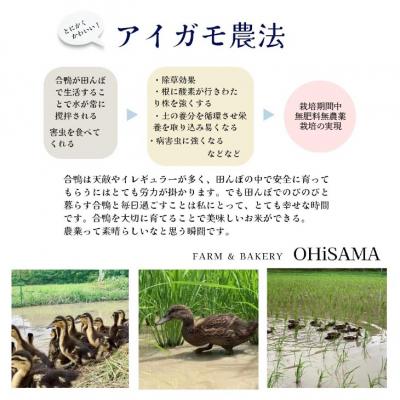 ふるさと納税 南あわじ市 令和7年産　コシヒカリ　10Kg(5kg×2)　玄米　栽培期間中農薬不使用　あいがも農法米 |  | 02