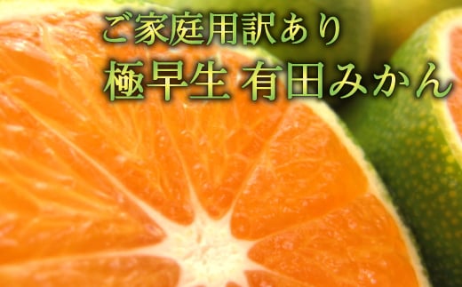 先行予約 【初秋の美味】有田育ちのご家庭用訳あり濃厚極早生有田みかん　約10kg【サイズ混合】【2024年10月中旬から順次発送予定】