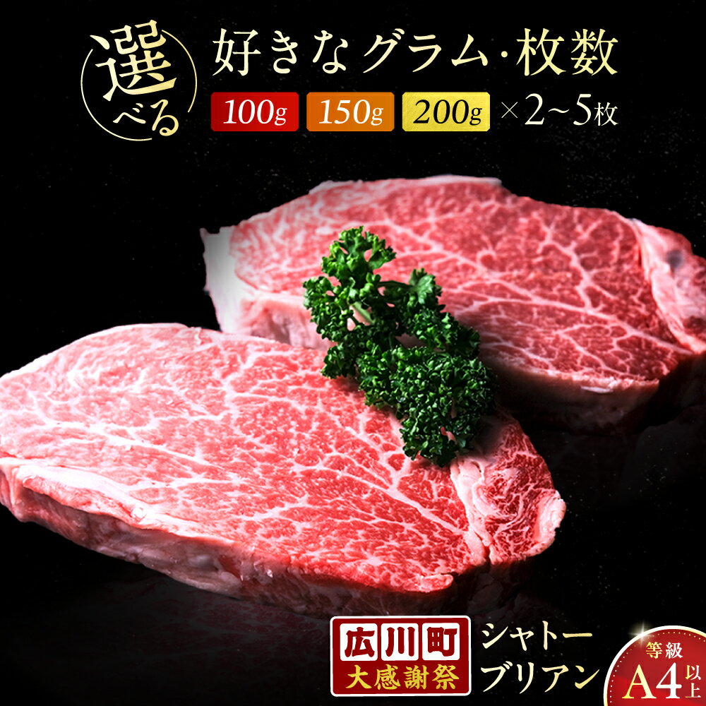【ふるさと納税】【新登場＆大感謝祭】 シャトーブリアン 博多和牛 200g~1kg【選べるグラム数×枚数】 ヒレ肉 A4 A5 ギフト 贈答 広川町 / 肉のくまもと屋株式会社[AFCN001]