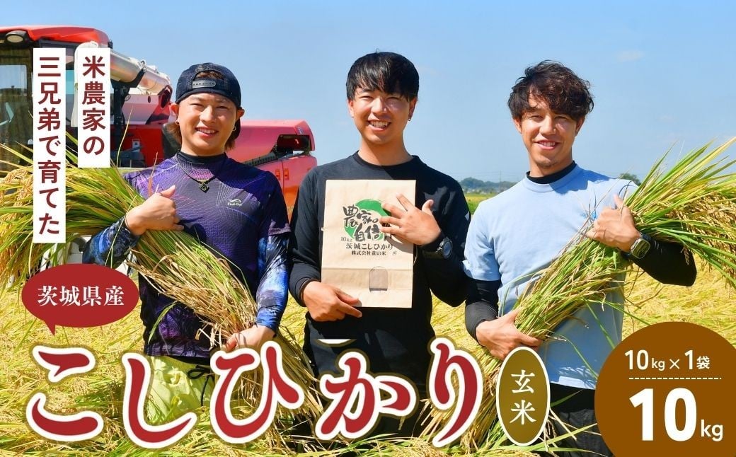 
            【令和7年度新米】龍ケ崎の美味しい コシヒカリ 玄米  10kg(10㎏×1袋) ❙ こしひかり お米 米 こめ 白米 玄米 新米 冷めてもおいしい 美味しい こだわり おにぎり 茨城県 龍ケ崎市産
          