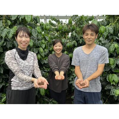 ふるさと納税 大垣市 【岐阜コーヒー農園】岐阜県産コーヒー 10g×2袋 豆のまま |  | 03
