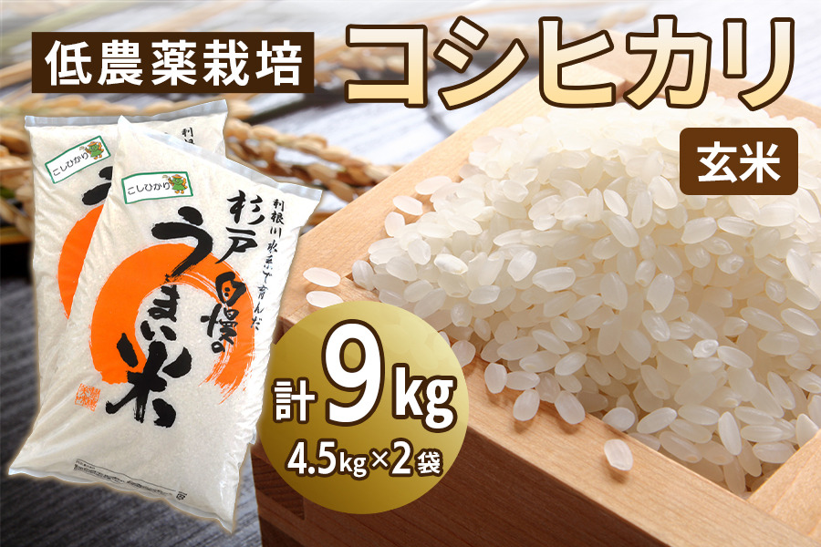 低農薬栽培のコシヒカリ《玄米》9kg (4.5kg×2袋)｜おいしい お米 コメ こめ ご飯 ごはん お取り寄せ 直送 贈り物 贈答品 ふるさと納税 埼玉 杉戸 [0647]