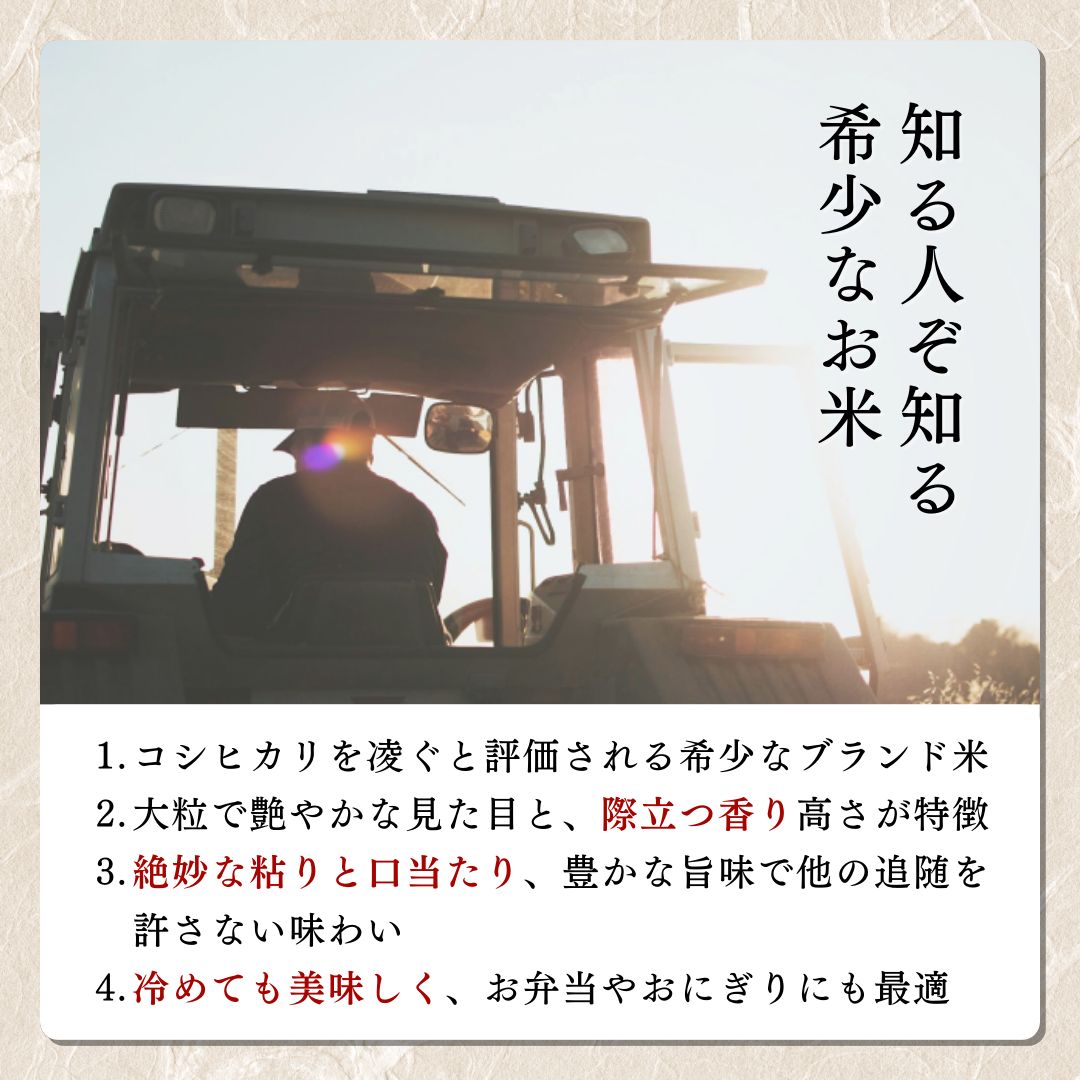 【先行予約】令和8年 新米 新潟上越産 みずほの輝き 定期便 【6ヶ月連続お届け】5kg×6回 30kg 新潟 新潟県 限定