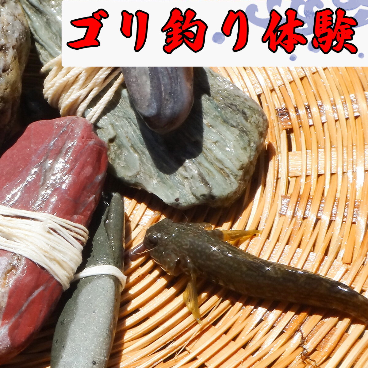 【ふるさと納税】（高知・仁淀川）誰でも簡単、地元ガイドが教えてくれるゴリ釣り体験（2名様）