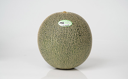 メロン（肥後グリーン）2玉入り 合計約3kg～約4kg 熊本県産メロン 宇城市産メロン 緑肉メロン 国産メロン