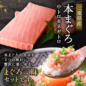まぐろ三昧セット〈本鮪の中トロ200g×2・ネギトロ100g×4袋〉〈おすすめ返礼品〉【C47】
