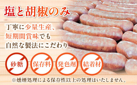 【全12回定期便】燻しソーセージ 12本 / 燻製 豚肉 スモーク おつまみ / 瀬戸市 / 天佑[BBBZ025]