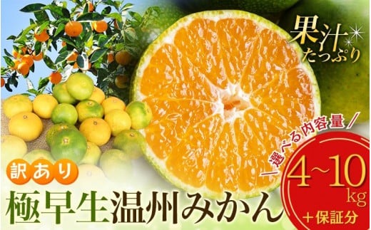 【先行予約】 選べる容量 訳あり 極早生温州みかん 約4kg 6.5㎏ 10kg ＋痛み保証分 2S～3L サイズおまかせ 【2025年9月下旬から10月中旬までに順次発送予定】 / 家庭用 ご家庭用 訳アリ わけあり ミカン 蜜柑 柑橘 果物 くだもの フルーツ 極早生 温州 夏みかん