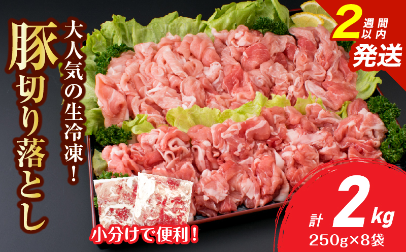 大人気 生冷凍 厳選 豚切り落とし 計2kg 豚肉 おすすめ 国産 食品 焼肉 肉じゃが 豚汁 野菜炒め おかず お弁当 晩ご飯 グルメ 小分け 個包装 真空パック おすそ分け お取り寄せ 新鮮 万能食材 宮崎県 日南市 送料無料_BD111-25-2W