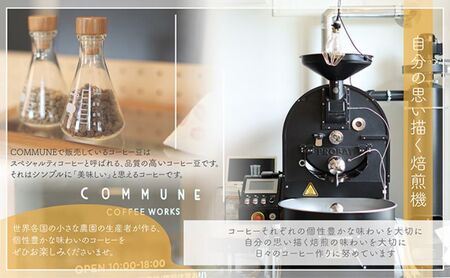 【贈答用】コーヒー豆（粉）100g×6 ブレンドコーヒー 4種類 自家焙煎 珈琲 中挽き 中浅煎り 中煎り 深煎り 極深煎り 飲み比べ お手土産 おすすめ ギフト プレゼント 化粧箱