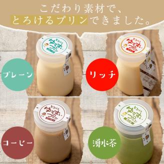 y119 手作り！ゆうすいプリン(12個) ぷりん プリン コーヒープリン お茶スイーツ お茶プリン お茶 プレーン お菓子 おやつ デザート スイーツ 手作り ギフト 贈り物 プレゼント 贈答 手土