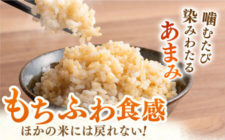 【特別栽培米】令和5年産 ももちゃんちのお米 夢しずく（一等米）玄米 10kg【ももさき農産】特A米 特A評価[HCG007]