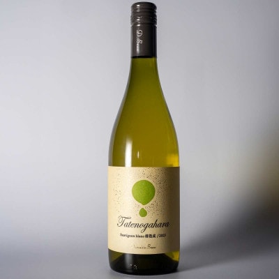 立野原ソーヴィニヨンブラン樽熟成2023【配送不可地域：離島】