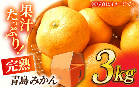 【先行予約】完熟 青島 みかん 約3kg【合同会社 社方園】完熟みかん 九州産みかん ミカン 柑橘 青島みかん 熊本みかん 九州みかん あおしまみかん オレンジ みかんくまもとのみかん 熊本のみかん 国産みかん ジューシーみかん 山鹿 みかん 完熟青島みかん ミカン 熊本県産みかん 果物 みかん フルーツ みかん [ZBZ011]