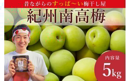 ［先行予約］樹上南高梅の青梅 約5kg 梅ボーイズ 紀州南高梅 5月中旬～6月中旬頃に順次発送予定 B-505