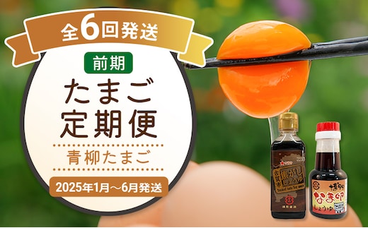 
										
										たまご前期定期便 6回発送（初回のみ醤油付き・たまご20個）20個×6回 合計120個 定期便 6ヶ月 卵 おうはん卵 青柳たまご 送料無料 【2025年1月～6月の計6回お届け】
									