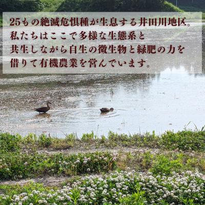 ふるさと納税 南相馬市 【先行予約】天のつぶ 白米 5kg 有機的栽培 令和7年産 | 無農薬 農薬化学肥料不使用 |  | 02