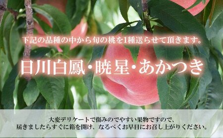 No.1759もも　7月収穫の桃　品種お任せ　約3kg【2025年発送】