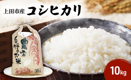 コシヒカリ 10kg 白米 長野県産 上田市 コシヒカリ