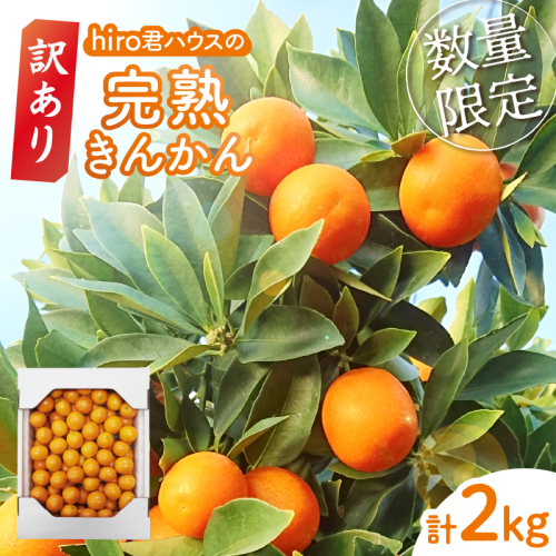 先行予約≪数量限定≫訳ありhiro君ハウスの『完熟きんかん(計2kg)』フルーツ 果物 金柑 国産_T022-003