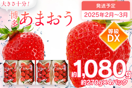 先行予約 あまおう 合計約1,080g 約270g×4パック DX 福岡県産 九州 イチゴ いちご 苺 果物 くだもの フルーツ 送料無料【2025年2月～3月の間に順次発送予定】