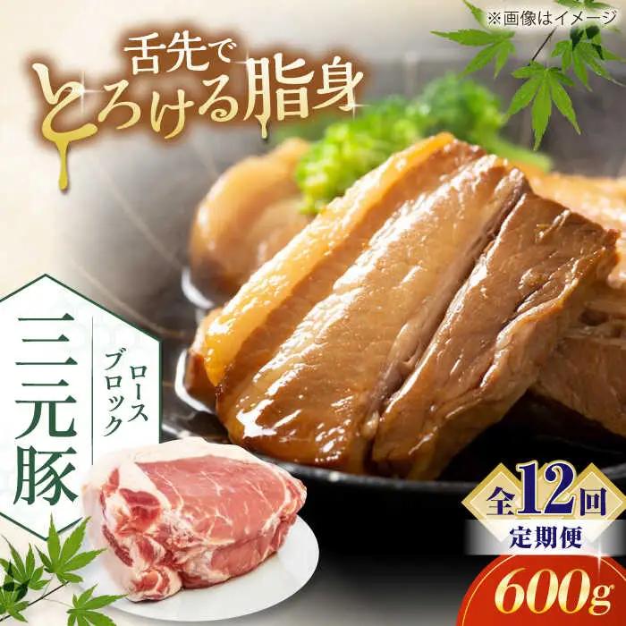 【全12回定期便】 ロース ブロック 600g 豚肉 ブロック AJAP097