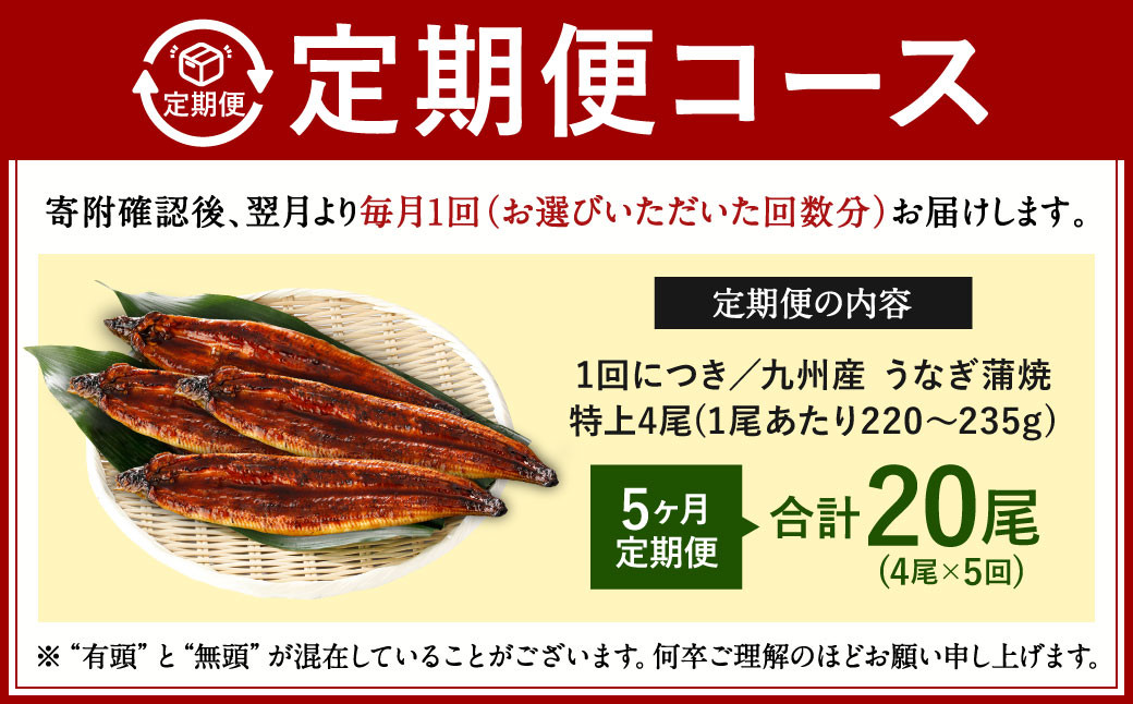 【5ヶ月定期便】九州産 うなぎ蒲焼 特上 4尾 (1尾あたり220～235g)  合計20尾 