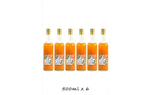 
                  【定期便 6回】小田原産江之浦みかん１００％ストレートジュース５００ml６本｜飲料 ストレートジュース 人気 おすすめ 果汁飲料 フルーツドリンク ギフト 定期便 詰め合わせ 送料無料 神奈川県 小田原市
                