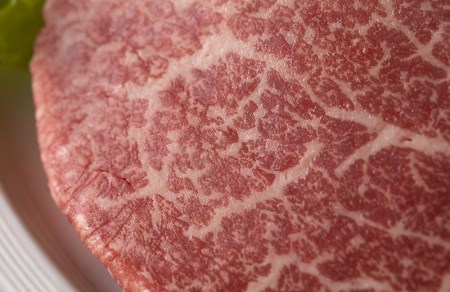 A5 飛騨牛 シャトーブリアン ステーキ　3枚 | 牛肉 黒毛和牛 シャトーブリアン