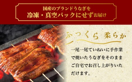 国産うなぎ白蒲セット4本【最短3日発送】うなぎの白焼き（120g～130g×2尾）、うなぎの蒲焼き（120g～130g×2尾）、男のきくらげのセット ※離島への配送不可