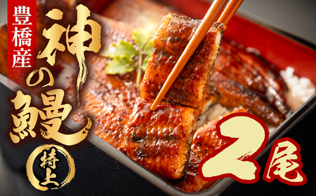 うなぎの新ブランド、開幕。『神の鰻』2尾 国産 特上 