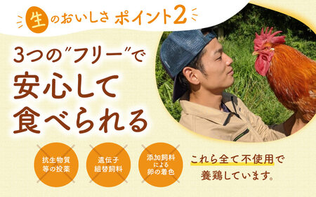 飛鳥の卵（１０個×４箱）定期便３ケ月 風雅ファーム 奈良市なら 45-003 生卵 たまご 鶏卵 卵 卵ギフト 卵 たまご 卵セット 卵焼き 卵かけご飯 ゆで卵 卵とじ 生卵 鶏卵 卵黄 卵白 卵 卵