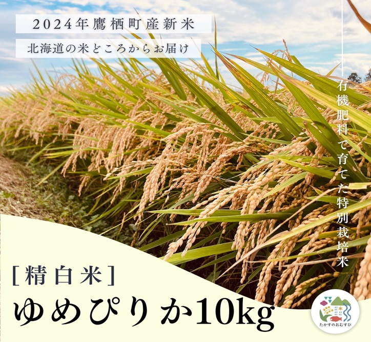 A253【令和６年産】ゆめぴりか（精白米）特Aランク 10kg 北海道 鷹栖町 たかすのおむすび 米 コメ ご飯 精白米 お米 ゆめぴりか